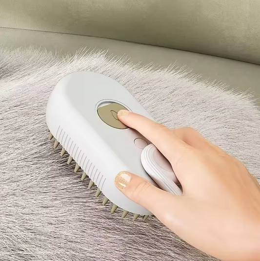 Steam brush